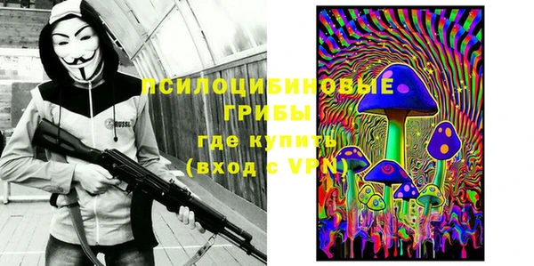 apvp Алексеевка