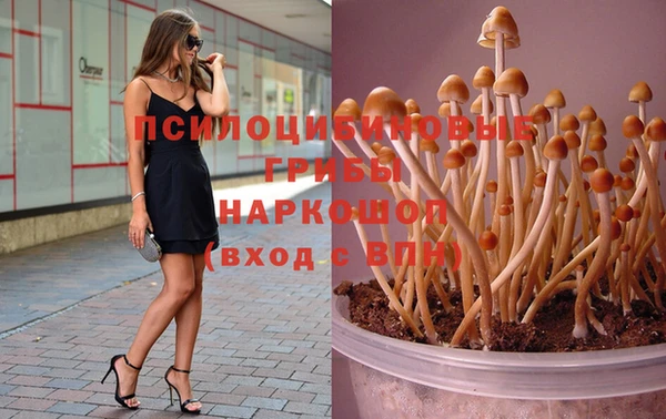 гидропоника Алексин