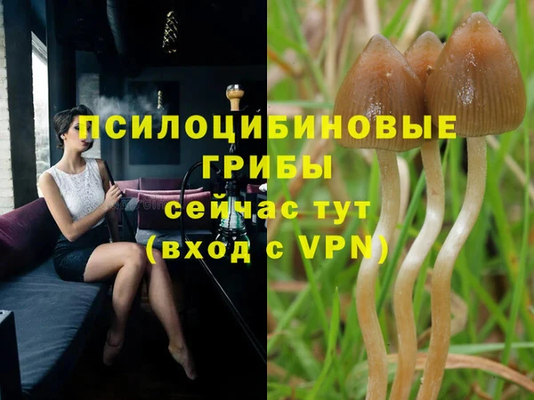 гидропоника Алексин