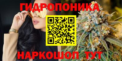 хмурый Гусев