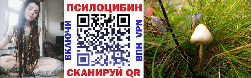 купить закладку  MEGA ССЫЛКА  Галлюциногенные грибы Psilocybine cubensis  Бахчисарай 