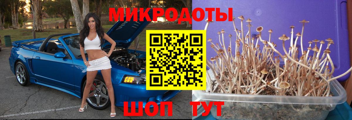 Галлюциногенные грибы GOLDEN TEACHER Бахчисарай